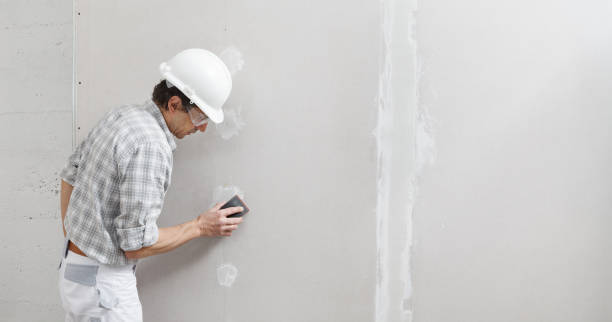 Best Mold Odor Removal Services  in Fkville, AL