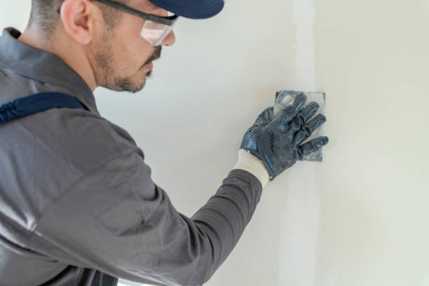 Best Mold Documentation for Insurance Claims  in Fkville, AL