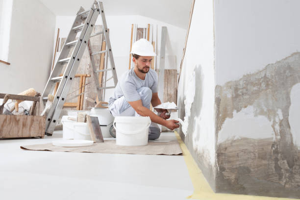 Best Residential Mold Inspection & Testing  in Fkville, AL
