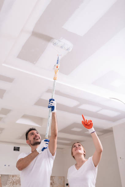 Best Comprehensive Air Testing for Mold Contaminants  in Fkville, AL