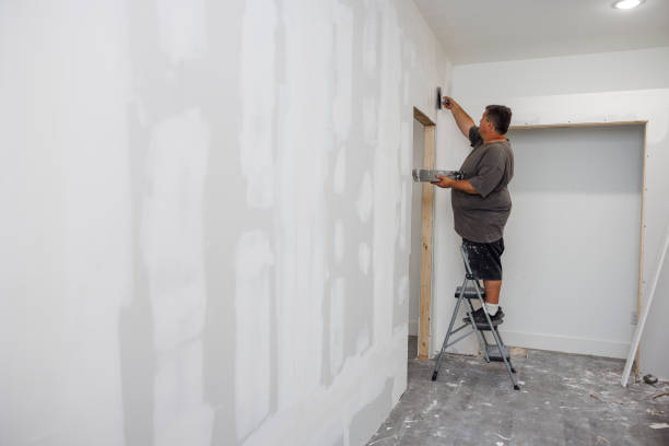 Forensic Mold Investigation in Falkville, AL