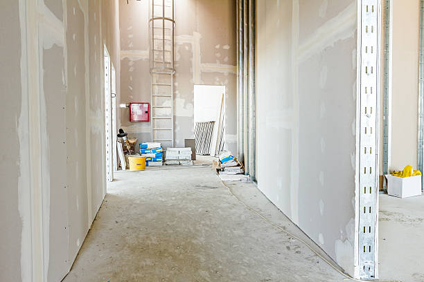 Best Attic Mold Removal  in Fkville, AL