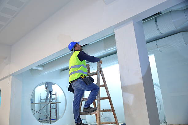 Best Forensic Mold Investigation  in Fkville, AL